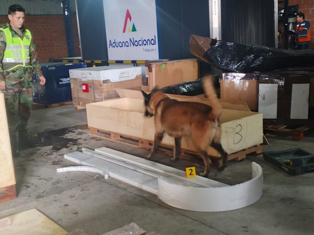 Narco madera: OTRO cargamento escapa a DEA y presidente Paz